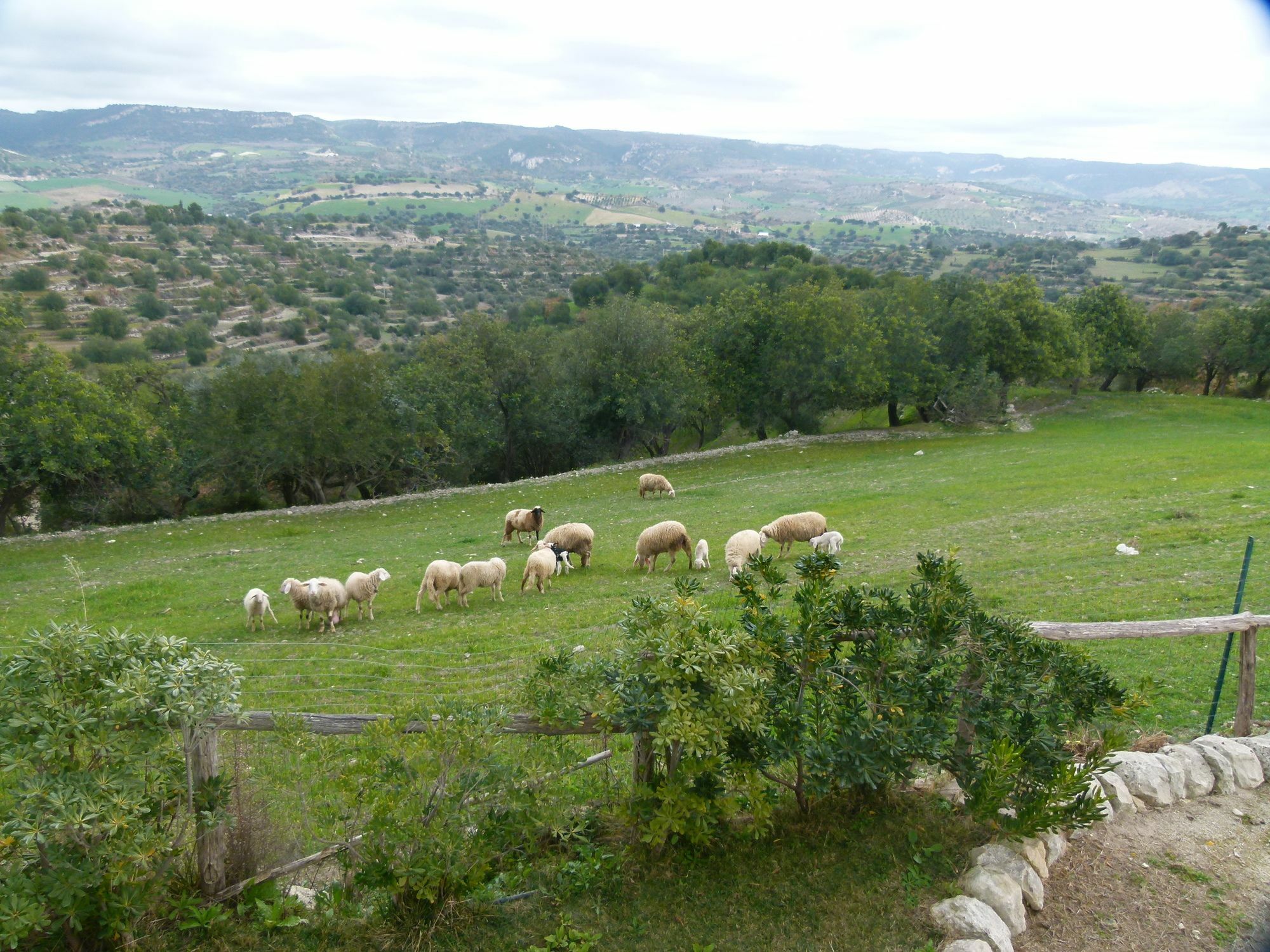 Agriturismo Villa Gaia Modica Luaran gambar